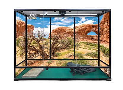 Carolina Custom Cages, 48Lx18Wx36H Extra-Tall Extra-Long Terrarium; Easy Assembly - size: 48Lx18Wx36H