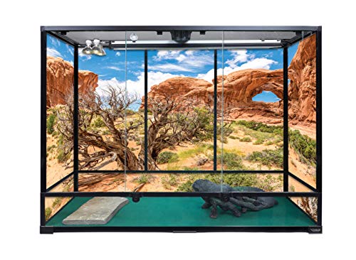 Carolina Custom Cages, 48Lx18Wx36H Extra-Tall Extra-Long Terrarium; Easy Assembly - size: 48Lx18Wx36H