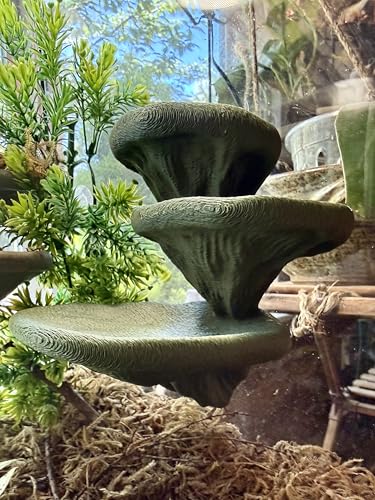 Mushroom Ledge for Terrarium – Climbing & Resting Shelf with Suction Cups (Dark Green, 6''x4.5''x5.25'') - color: Dark Green