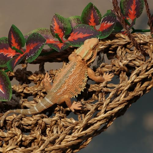 AQUA KT Reptile Lounger Lizard Bearded Dragon Snake Climbing Hammock for Reptile Bedding Amphibian Habitat Decoration, Made of Seagrass