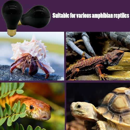Reptile Heat Lamp 75W, Night Heat Bulb Simulate Nature Moonlight Purple Bulbs, Amphibians Basking Spot Light Bulb for Bearded Dragon, Gecko, Snake, Lizard and Turtle, E26 Base, 2 Pack