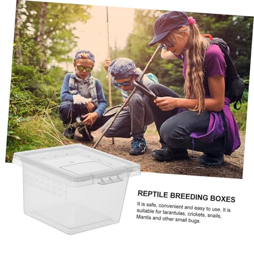 BESPORTBLE 20pcs Reptile Tank Accessories Reptile Breeding Container Snake Box for Gecko Terrarium Lizard Mantis Breathable Design