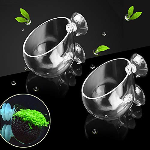 capetsma 2X Crystal Glass Aquatic Plant Pot, Planter, Red Shrimp Live Plants Fish Tank Holder with 4X Suction Cups for Aquarium Aquascape Decoration… - size: 2 Count (Pack of 1)