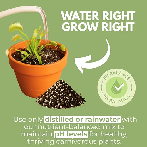Organic Earth Carnivorous Plant Soil Mix - Large Size - Plant Food Peat Moss & Perlite for Carnivorous Plants - Terrarium Soil, Pitcher Plant Soil, Venus Fly Trap Soil