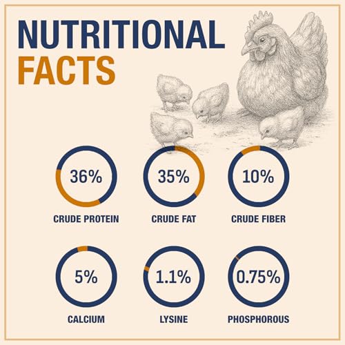 USA Grown Black Soldier Fly Larvae for Chickens - 100% Natural Dried Mealworms for Chickens - Grubs with 75X More Protein Chicken Treats for Laying Hens - Birds Feed Supplement for Ducks & Reptiles - size: 1 Pound (Pack of 1)