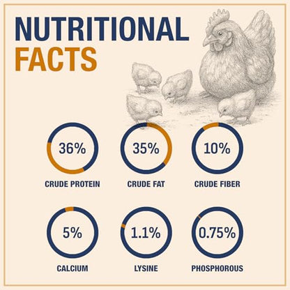 USA Grown Black Soldier Fly Larvae for Chickens - 100% Natural Dried Mealworms for Chickens - Grubs with 75X More Protein Chicken Treats for Laying Hens - Birds Feed Supplement for Ducks & Reptiles - size: 1 Pound (Pack of 1)