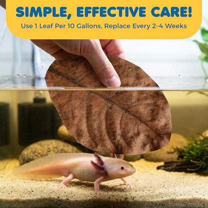 SunGrow 10 Pack Axolotl Indian Almond Leaves for Aquarium, 5-Inches, Catappa Leaf Soothes Pet’s Slime Skin, Aquarium Water Conditioner Leaves Improves Tank Water Quality, Speeds Up Recovery Process - style: Medium (5")