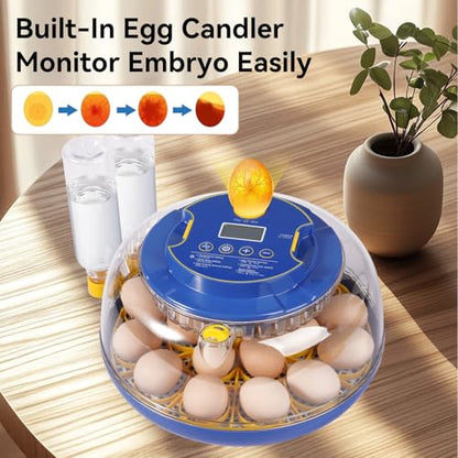 18 Egg Incubators for Hatching Eggs, Chicken Egg Incubator with Automatic Egg Turning and Temperature Humidity Control, 360° Clear View Lid or Home, Farm, Classroom, Hatching Chicken, Duck,Quail,Goose - size: 18 Egg Incubators