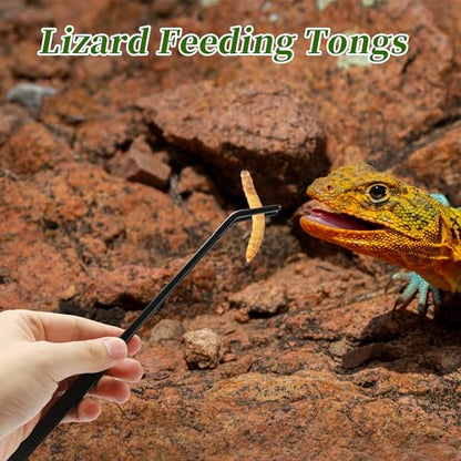 Reptile Feeding Tongs, Stainless Steel Lizard Feeding Tongs, Aquarium Curved Feeding Tweezers for Reptiles with Rubber Tip, Terrarium Feeding Tongs for Gecko, 10.63" Length, Black - size: 10.63"