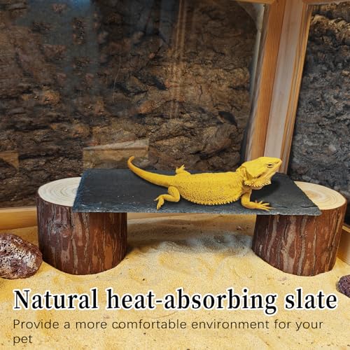Bearded Dragon Basking Platform,Reptile Slate Rocks with Wooden Pile,Leopard Gecko Hides and Caves Climbing Tank Accessories for Lizards Snakes Tortoise Ball Python(Small High