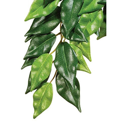 Hagen Exo Terra Silk Terrarium Plant, Medium, Ficus - color: Multi Color, size: Medium