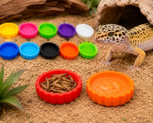 12pc Multicolor Crested Gecko Food & Water Feeding Cups, Small Pet Dish Set
