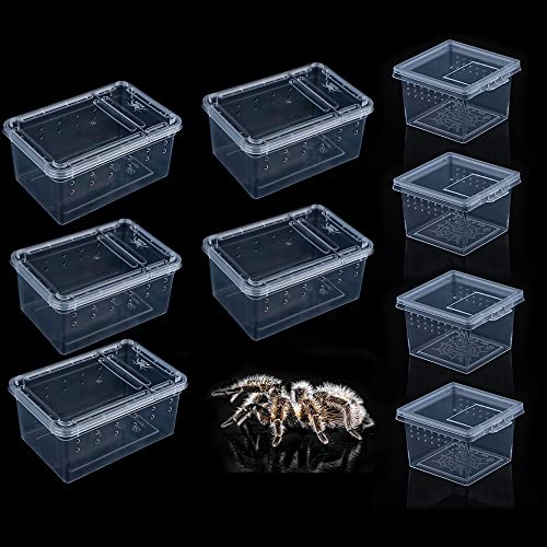 9 Pack Spider Terrariums Breeding Box Transparent Hatching Container Plastic Feeding Box for Spider Scorpion Centipede Insect Small Reptile (Small Size)