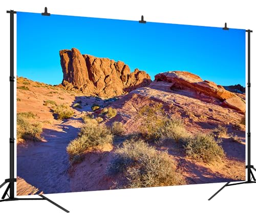 7x5FT Desert Backdrop Reptile Habitat Blue Sky Desert Rocky Bush Natural Scenery Photography Background Aquarium Background Hiking Camping Pictures Home Decor Photo Studio Props - color: Natural landscape backdrop 3