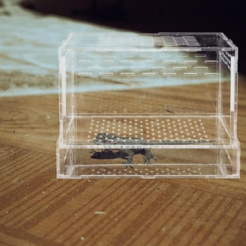 UKCOCO Acrylic Insect Feeding Box with Lid for Breeding Reptiles, Mealworm Habitat Container Suitable for Tarantula and Snake Enclosures