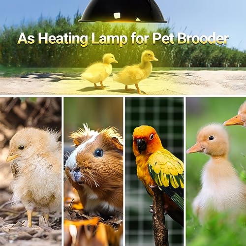 REPTI ZOO Reptile Heat Lamp Bulb 150W,2 Pack Neodymium Basking Spot Light, UVA Daylight Heating Lamp for Amphibian & Chicken Brooder | Simulated Natural Sunlight for Bearded Dragon,Lizard,Tortoise - style: 150W/Neodymium Daylight