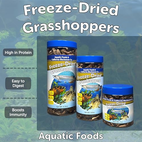 Grasshoppers, Freeze Dried Grasshoppers for Large Tropical Fish, Monster Fish, Reptiles, Turtles, Tortoises, Frogs, Hamsters, Birds, Rodents 1.0oz Canister - size: 1 Ounce (Pack of 1)