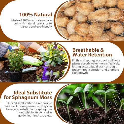 10Pack Organic Coco Coir Brick for Plants, Natural Coconut Coir Soil | Moisture Retention, Coconut Fiber Substrate for Seed Starting, Soil Amendment, Potting Mix, Gardening, Composting & Reptile - size: 10 Pack