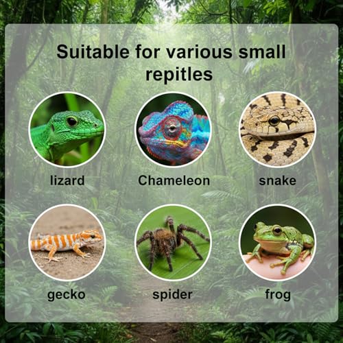 Crested Gecko Food Dish, Water Bowl, Reusable Crested Gecko Tank Accessories, Small Reptile Feeding Dish, Reptile Spoon, Silicone Hermit Crab Tortoise Small Pet