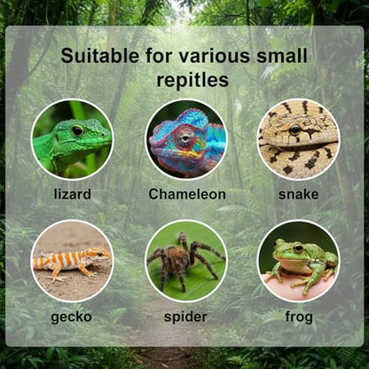 Crested Gecko Food Dish, Water Bowl, Reusable Crested Gecko Tank Accessories, Small Reptile Feeding Dish, Reptile Spoon, Silicone Hermit Crab Tortoise Small Pet