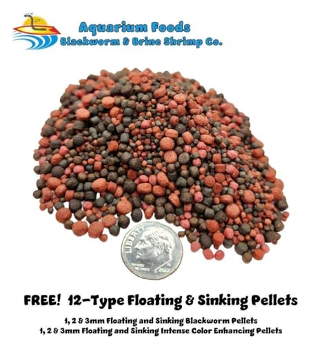 Freeze Dried 1"- 3" Fresh Water Fish for Piranhas Large Fish, Land and Aquatic Turtles, Rodents, Reptiles, Lizards, Cat Treats & More…4.3oz Lg Round Jar - size: 4.3 Ounce (Pack of 1)