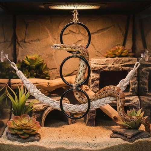 2pc Snake Climbing Toys, Reptile Enrichment Toys Climbing Rings Swing Climbing Rope for Ball Python Corn Snake Durable Habitat Decor Tank Accessories for Garter Snakes, Gecko, Chameleon, Iguana,Lizard