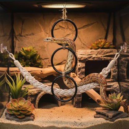 2pc Snake Climbing Toys, Reptile Enrichment Toys Climbing Rings Swing Climbing Rope for Ball Python Corn Snake Durable Habitat Decor Tank Accessories for Garter Snakes, Gecko, Chameleon, Iguana,Lizard
