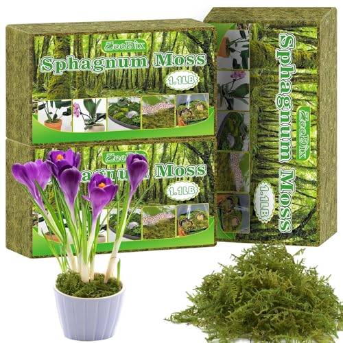 Sphagnum Moss 3.3 LB Long Fiber Green Forest Moss | Ideal for Repotting Orchids, succulents, and Indoor Plants Natural Sphagnum Retains Moisture, Improves Root Aeration - size: 3.3 LB