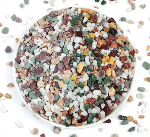2LB Succulent and Cactus Gravel Pebbles, 1/5 Inch Stones Colorful | Polished Natural Decorative River Rocks for Vases Gardening Indoor and Outdoor Decorative Rocks - color: Colorful, size: 2 Pounds