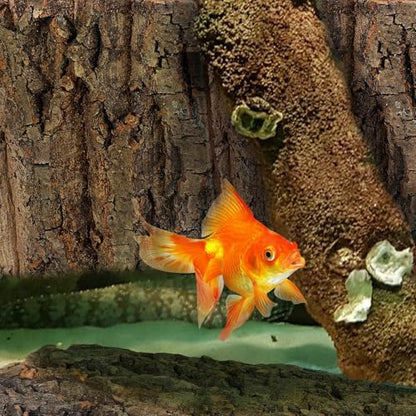 Totority Cork Bark Background, Natural Terrarium Backdrop,4Pcs | 3D Tree Bark Wall Decor for Bearded Dragon, Gecko, Lizard, Frog Enclosure & Aquarium, Easy-Place Habitat