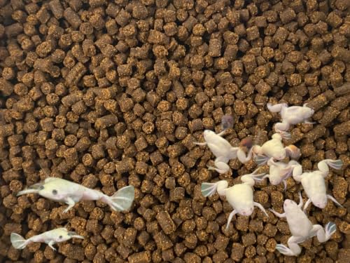 African Clawed Frog Soft Food Bits - Aquatic Frog Food 2.4 A282F - 3oz