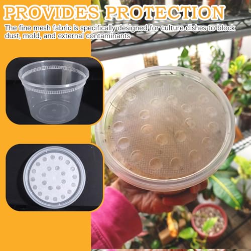 Deli Cups with Fabric Vented Lids 16 OZ, 10 Pack | Culture Cup Mesh Container, Bug Viewer Critter Insect Cage, Magnifying Insect Box