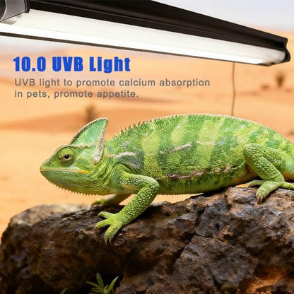 KINGYEENUO T8 UVB Reptile Light Fixture HO UVB Bulb Lighting Combo Kit, 10.0 UVB Light for Reptiles Terrarium Hood, 15W Reptile Light Bar UVA UVB Desert Lamp for Bearded Dragon Turtle Tank, 18Inch