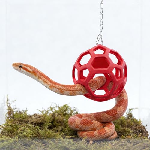 Snake Hammock & Climbing Ball Set - Triangular Breathable Mesh Hammock with 3 Suction Cups, Red Rubber Hollow Ball with Metal Chain, Reptile Climbing Toy & Resting Platform for Ball Python Corn Snake