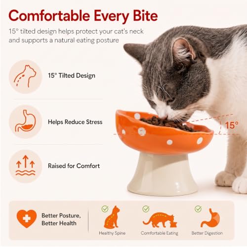 Orange Mushroom Cat Bowl, Elevated Ceramic Bowl for Cats | Elevated, Ceramic, Whisker Friendly, Anti Vomitin,Cute Mushroom Design - color: Orange