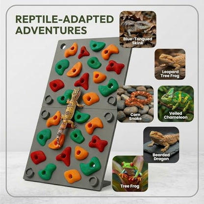 TIMSO Modular Reptile Climbing Wall & Hideout | Splicable Rock Board, Habitat Enrichment Decor, For Bearded Dragon, Leopard Geckos, Lizards, Snakes, Chameleons & Tree Frogs