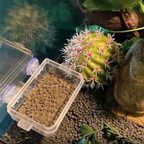 TOYANDONA Reptile Feeder Escape-Proof Feeding Box with Suction Cup Large Suspended Water Dish for Pet Geckos and Lizards Terrarium Use