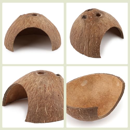 Hypeety Natural Coconut Reptile Habitat Hideout Hermit Crab Hut for Tank | Natural coconut shell, sturdy fish hide cave, organic non-toxic aquarium decoration, for reptile/lizard/spider/hamster/snake