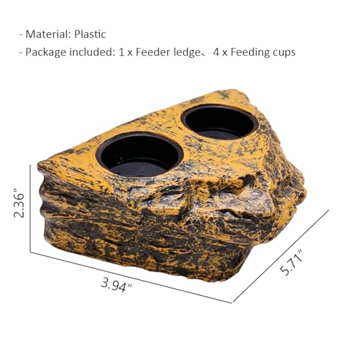 La La Pet®Magnetic Reptile Feeder Ledge with 4Pcs Cups Crested Gecko Feeding Bowls Removable Fruit Mud Basin for Bearded Dragon Snake Lizard Chameleon