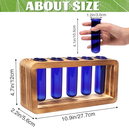 Glass Plant Propagation Station with 5 Test Tubes Colorful Planter Vase | Birthday Gifts for Women in Wooden Stand - color: Blue