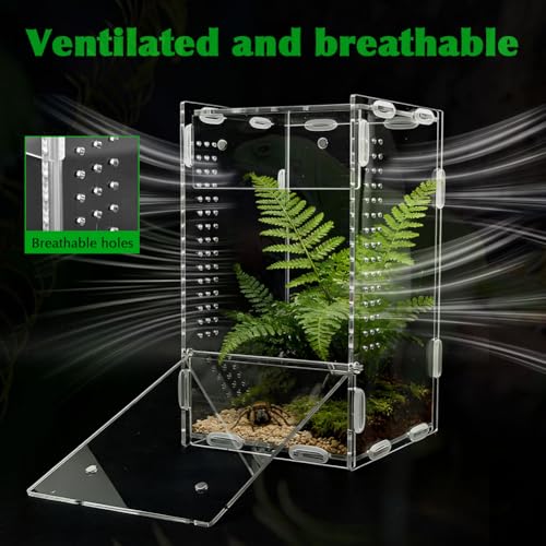 Jumping Spider Enclosure, 4x4x8 Inch Acrylic Reptile Terrarium Enclosure, with Magnet Front Opening Door, for Snail, Spiders, Mantis, Lizard, and Small Reptiles(Tweezer & Temp Sticker Included)