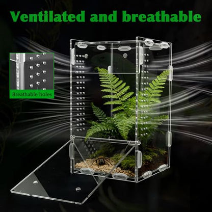 Jumping Spider Enclosure, 4x4x8 Inch Acrylic Reptile Terrarium Enclosure, with Magnet Front Opening Door, for Snail, Spiders, Mantis, Lizard, and Small Reptiles(Tweezer & Temp Sticker Included)