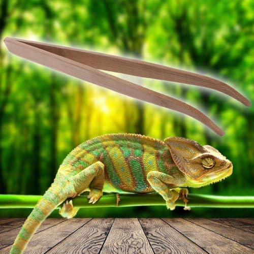 2Pcs 28cm Wood Color Angled Reptile Feeding Tongs Tweezers Bamboo Eco-Friendly Feeding Tool, Reptiles and Amphibians, Reptile Terrariums