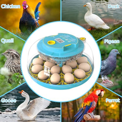 Incubators for Hatching Eggs, 18 Eggs Incubator with Automatic Egg Turning and Temperature Humidity Control, Egg Candler with 360° Viewing for Home, Farm, Classroom, Hatching Chicken, Duck,Quail,Goose