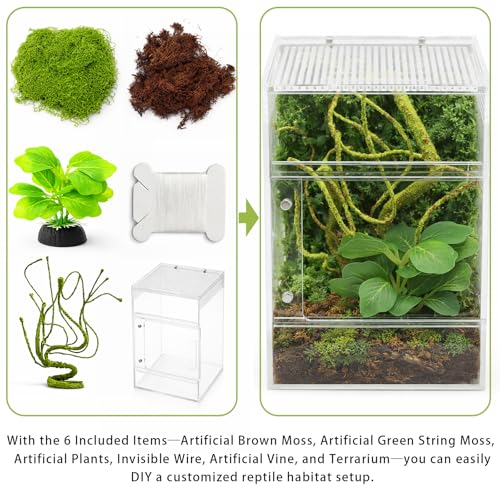 Jumping Spider Enclosure Kit, Waterproof Clear Acrylic Spider Terrarium, Front Opening + Top Access, Ventilated Insect Habitat with Moss Vine, Green Plant, 2 Moss Packs & Invisible Line (6-Piece Set)