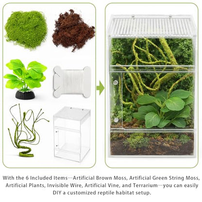 Jumping Spider Enclosure Kit, Waterproof Clear Acrylic Spider Terrarium, Front Opening + Top Access, Ventilated Insect Habitat with Moss Vine, Green Plant, 2 Moss Packs & Invisible Line (6-Piece Set)