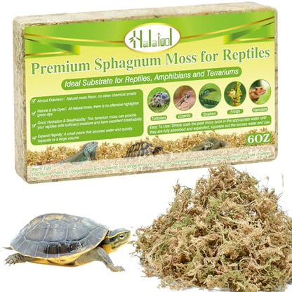Sphagnum Moss for Reptiles, 6 oz Natural Terrarium Bedding Substrat | Long-fibered Sphagnum Moss for Reptile, Holds Humidity for Bearded Dragons, Geckos, Snakes, Turtles, and Hermit Crabs - size: 6 OZ
