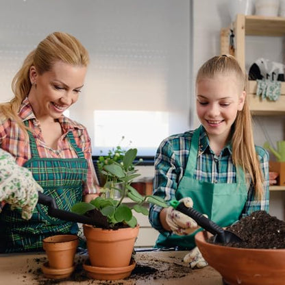 Doter Potting Soil Mix for Hoya 2qt, Custom Hand Blended Mixture Suitable for Indoor/Outdoor Potted Fern Plant - size: 2qt