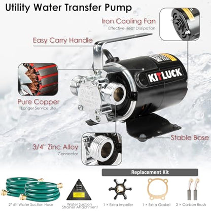 Water Transfer Pump, 115V 1/10HP 330GPH Utility Water Pump Electric With 2 * 6ft Suction Hose, Portable Small Water Pump For Pool Draining, Removing Water From Rain Barrel, Aquariums, etc. - style: 1/10HP 2 Hoses