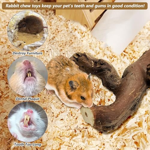 PINVNBY 2 PCS Wooden Hamster Climbing Branches 5.9 in Natural Grapevine Syrian Hamster Chewing Toys Small Animal Habitat Decor Accessories for Gerbils Mice Rat and Dwarf Pets